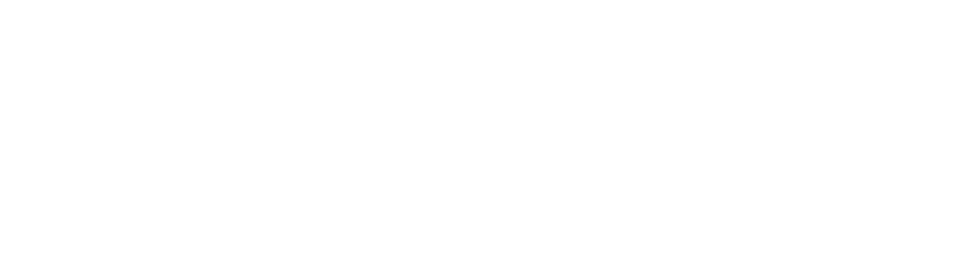 SL Consulting