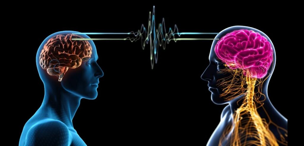 Sincronizacion cerebral y storytelling